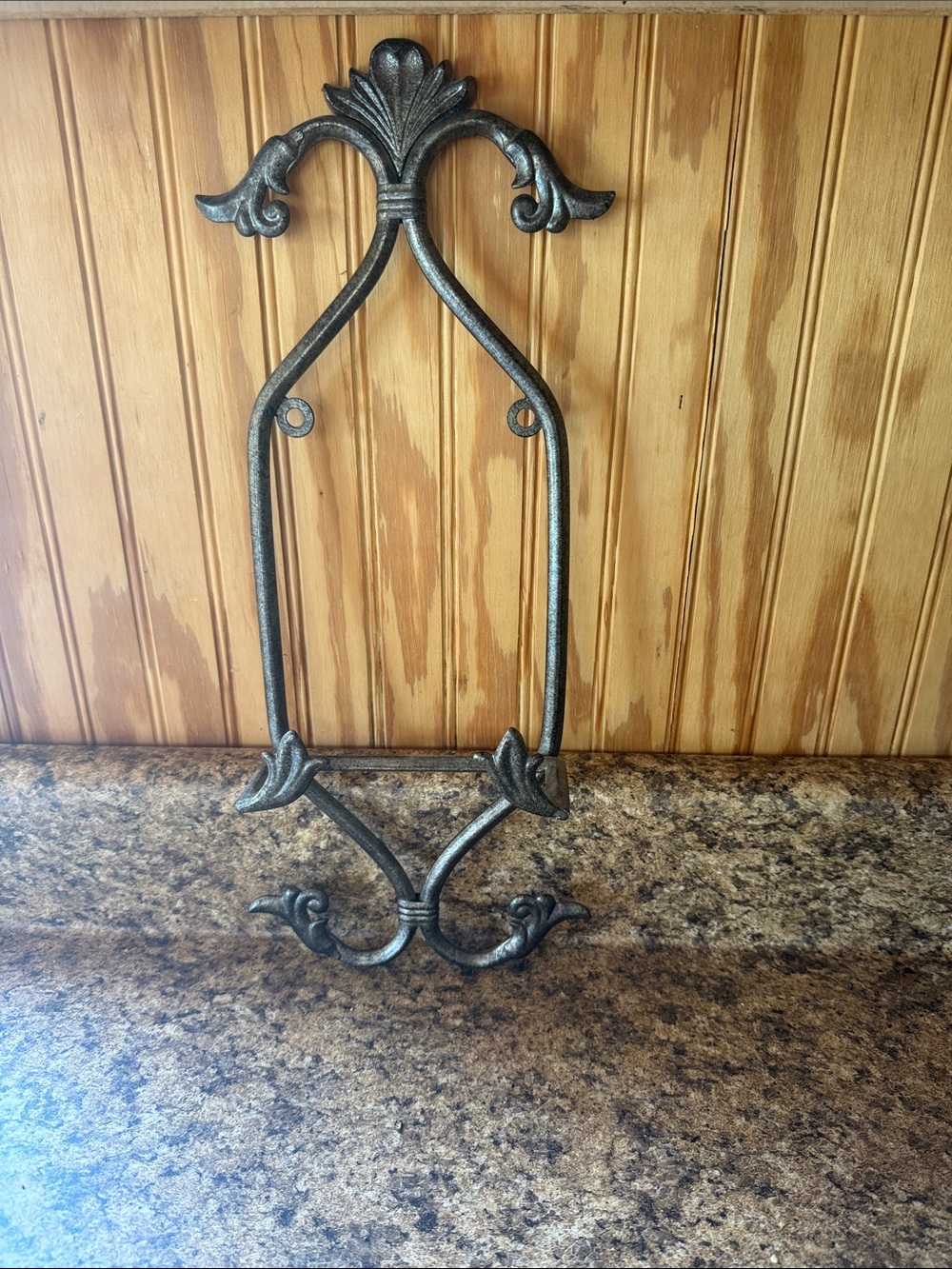 Pier 1 Ornate Metal Wall Hook in Silver and Black Finish